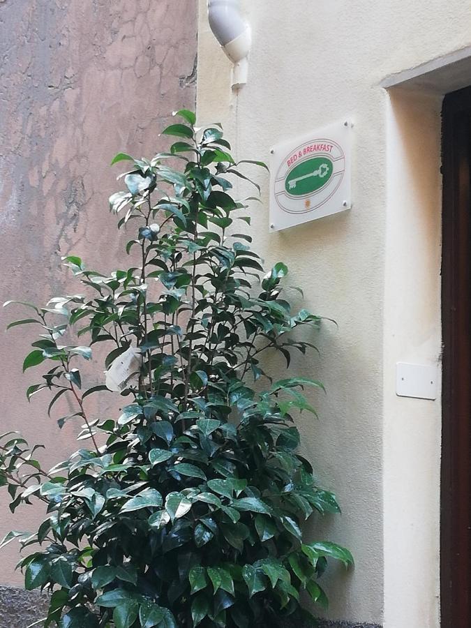B&B Sotto Le Torri Альбенга Экстерьер фото